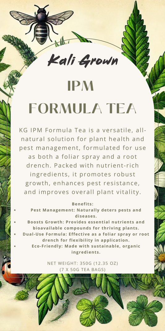 IPM Boost Tea