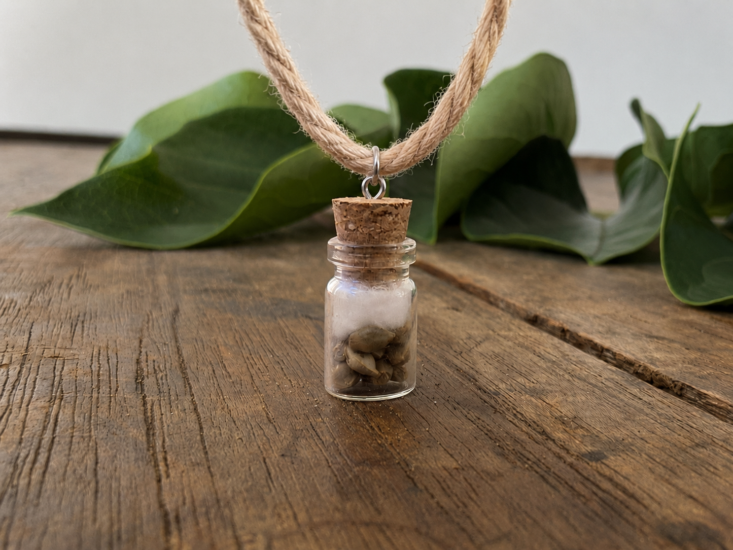 Seed Jar Necklace – Hemp Rope Novelty Collectible