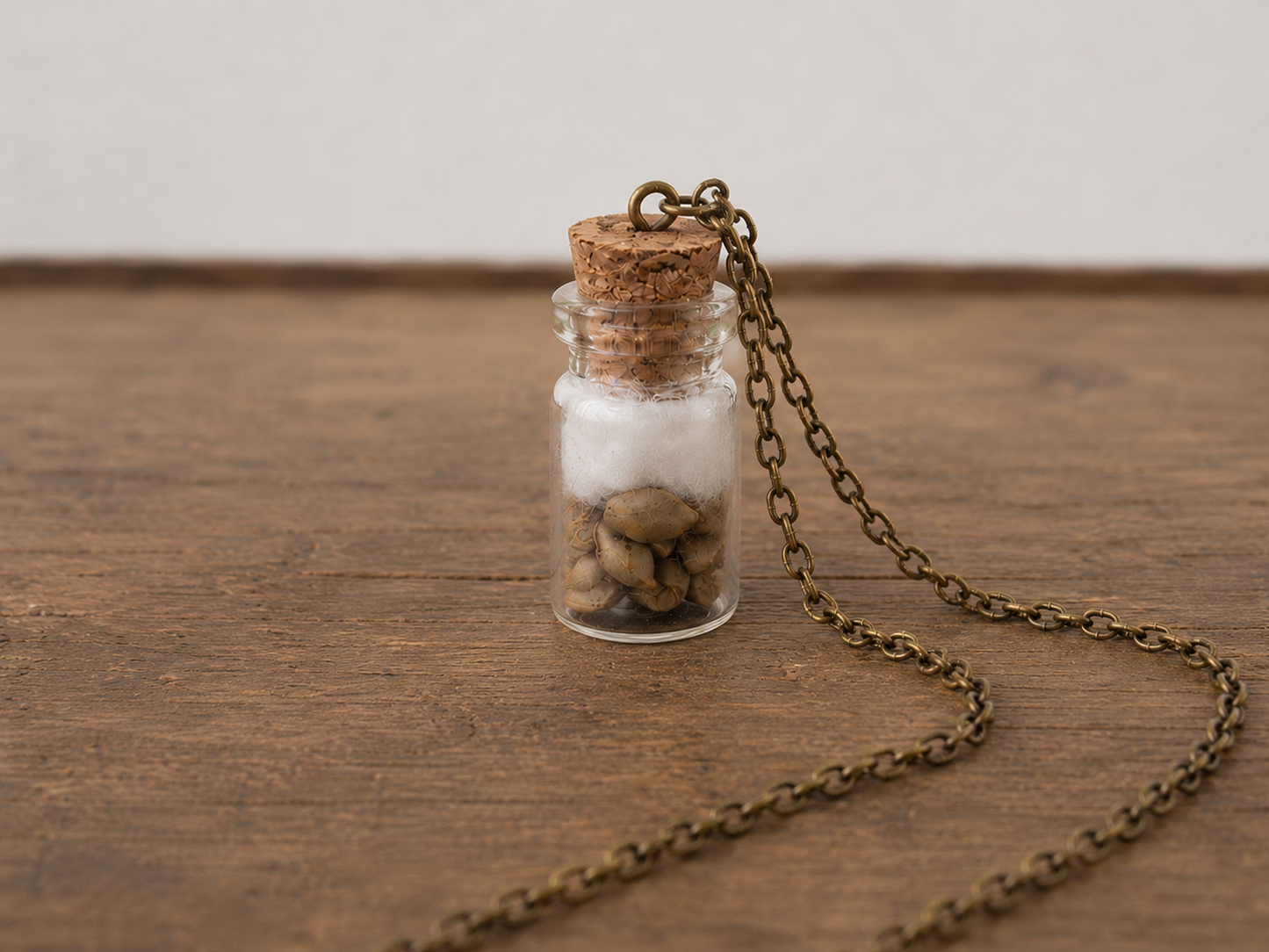 Seed Jar Necklace – Chain Novelty Collectible
