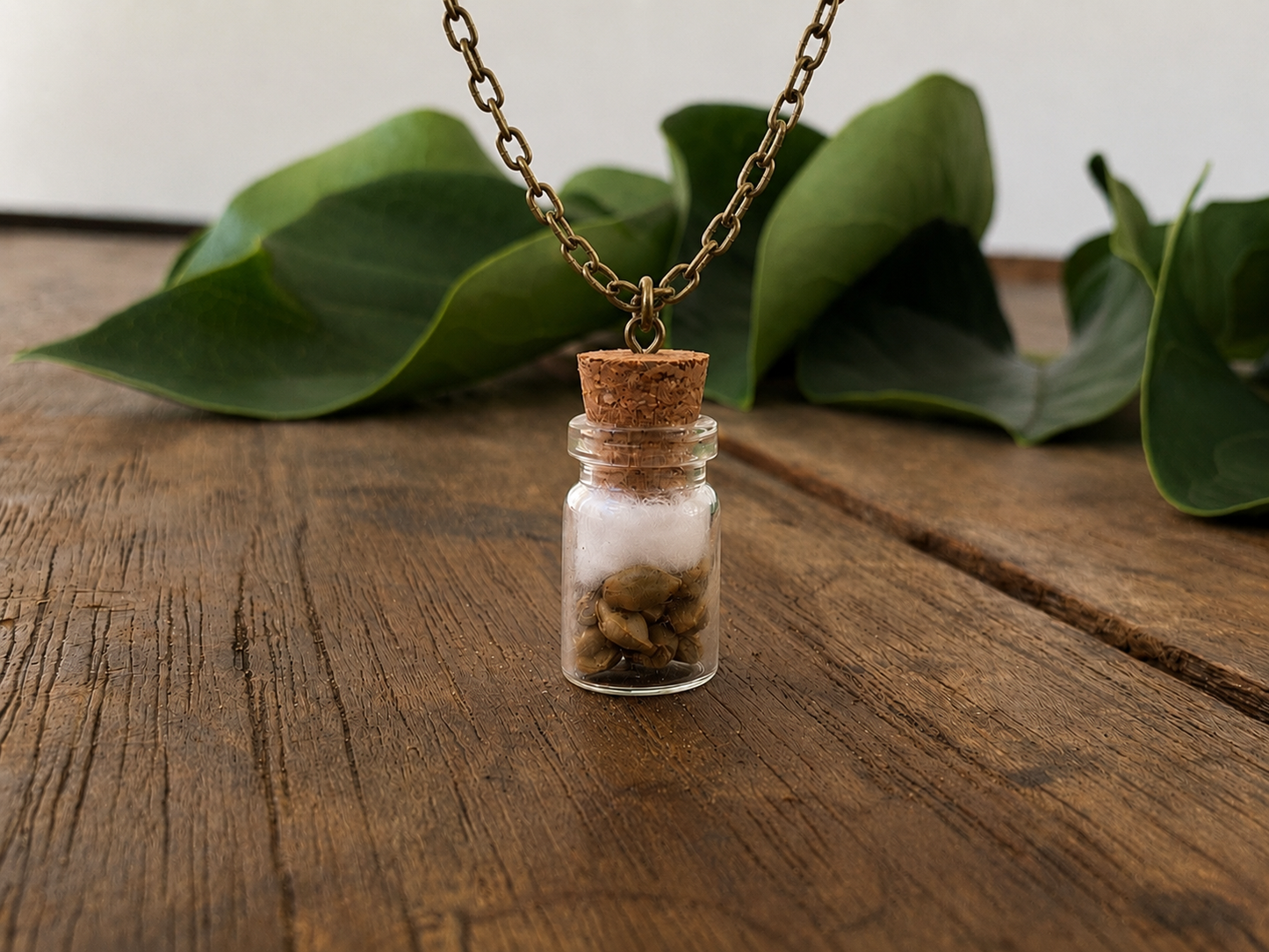 Seed Jar Necklace – Chain Novelty Collectible